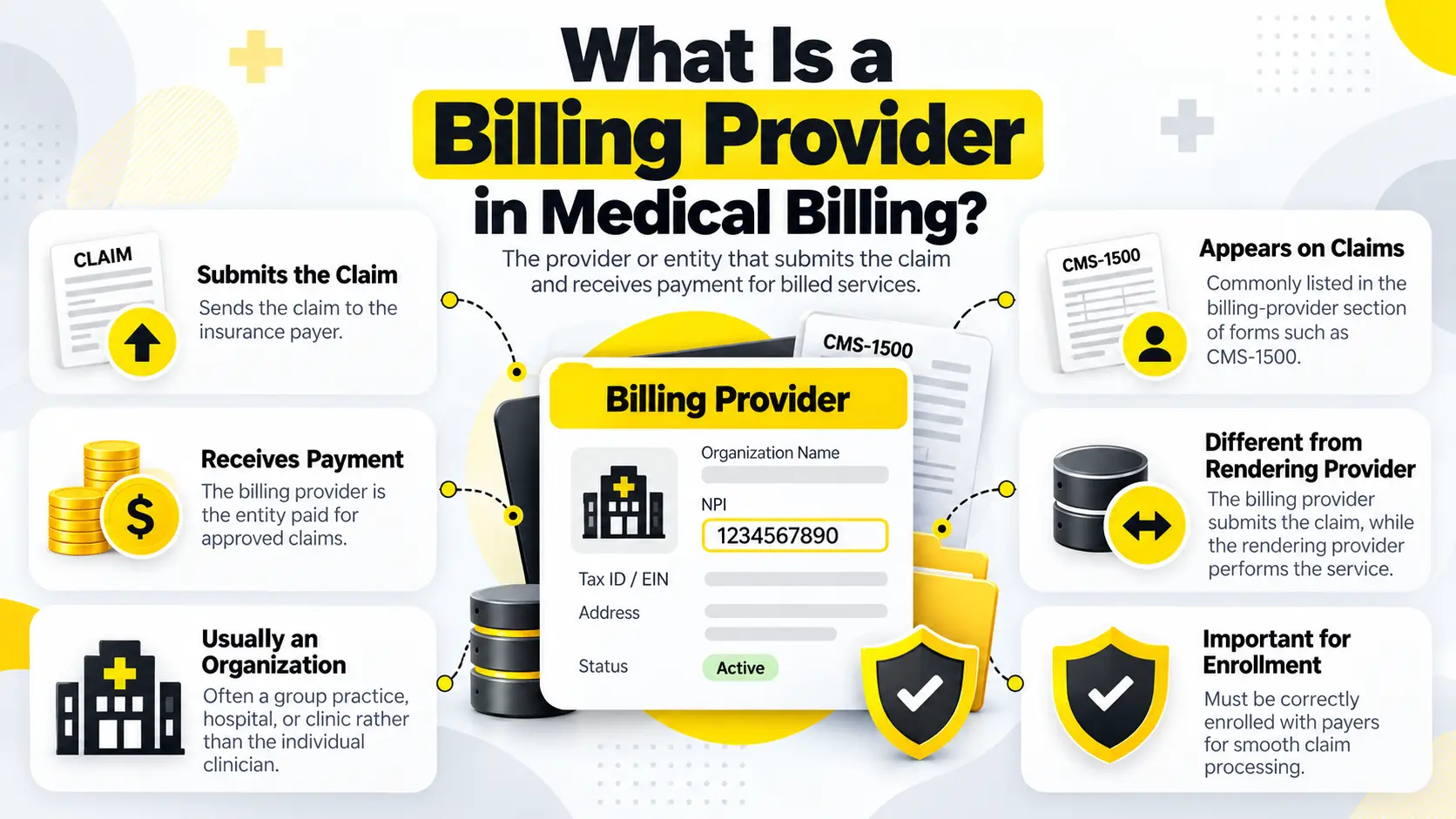 Medical Billing Provider Infographic